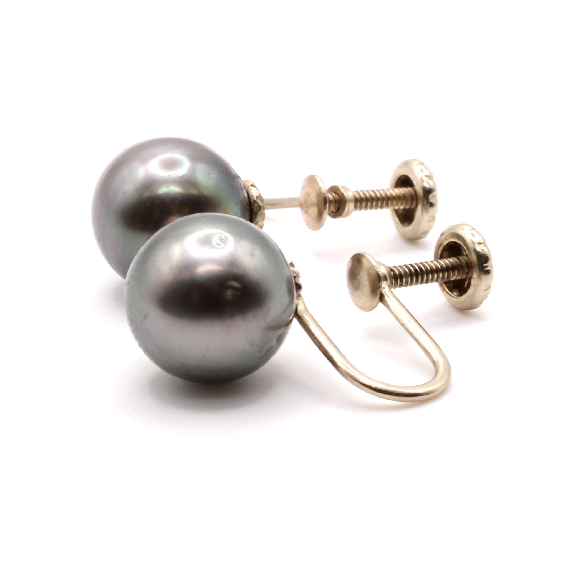 14k White Gold Tahitian Pearl Screw Back Earrings